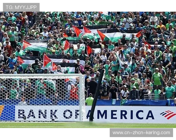 西雅图海湾人球迷展示震撼巨型TIFO 为主场助威